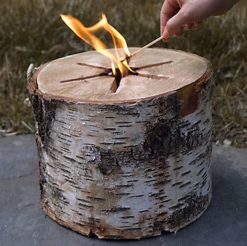 Bonfire Log
